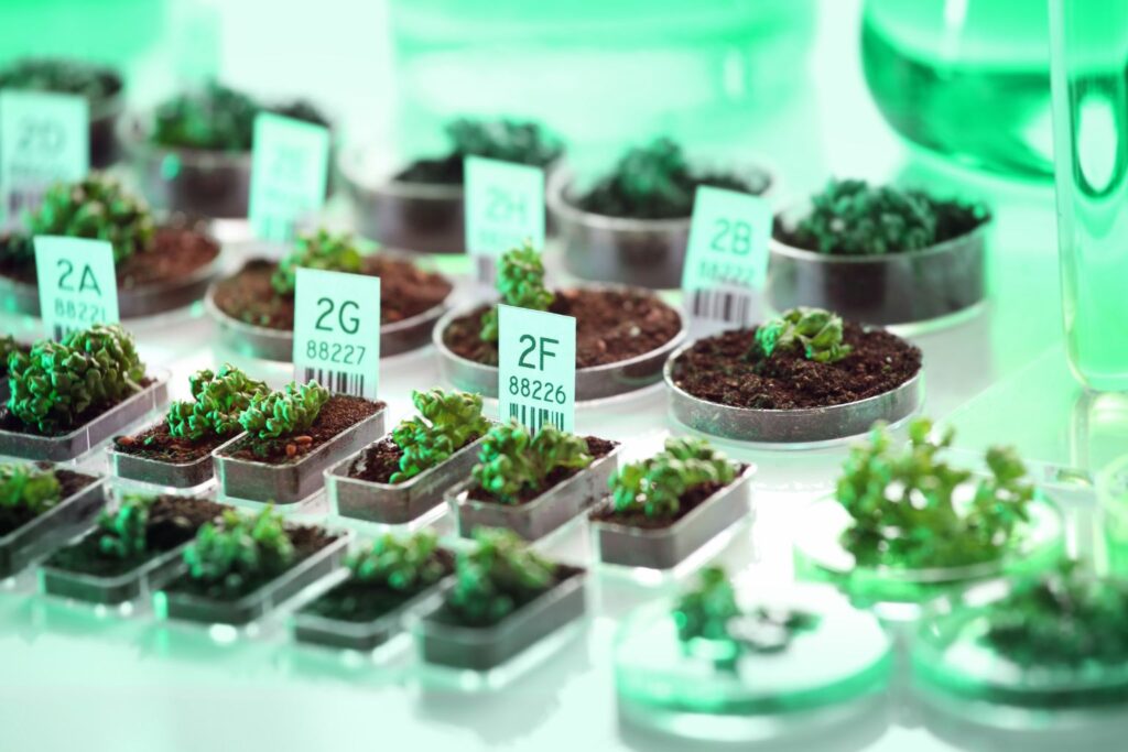 Research and Development (R&D)